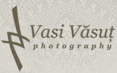 Vasi Vasut Blog