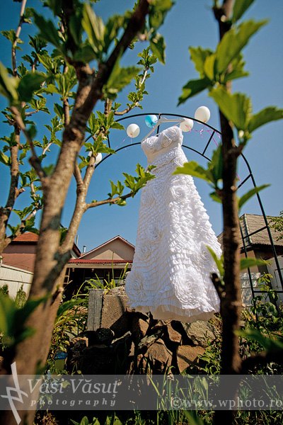 15 Cami & Radu 15 foto nunta baia mare